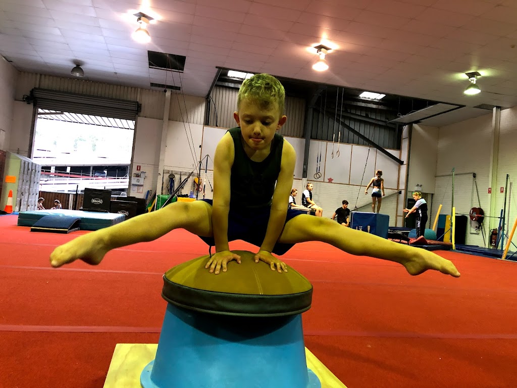 South Coast Gymnastics Academy |  | Miller Street &, Tate St, Coniston NSW 2500, Australia | 0242275722 OR +61 2 4227 5722