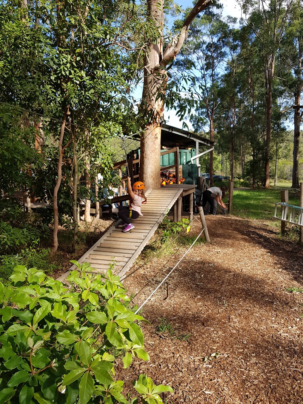 TreeTops Newcastle | park | Blue Gum Hills Regional Park, Minmi Road, Minmi NSW 2287, Australia | 0455338735 OR +61 455 338 735
