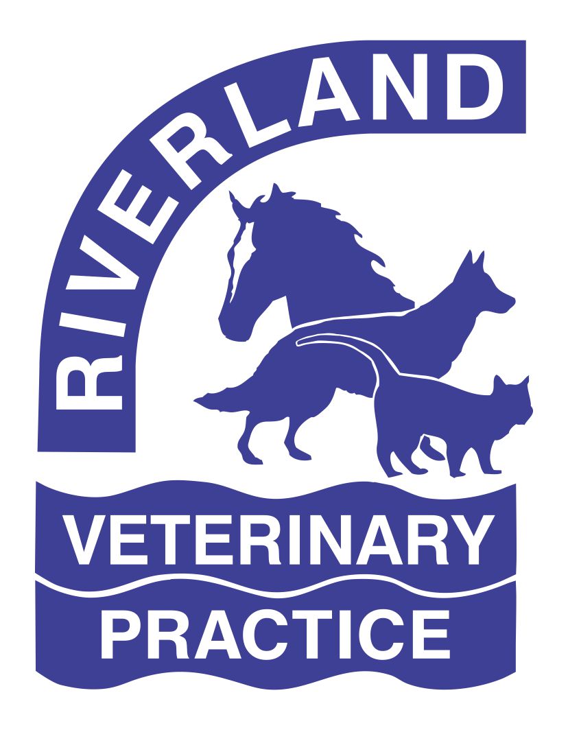 Berri Veterinary Hospital & Emergency Centre | veterinary care | 63 Kay Ave, Berri SA 5343, Australia | 0885821222 OR +61 8 8582 1222