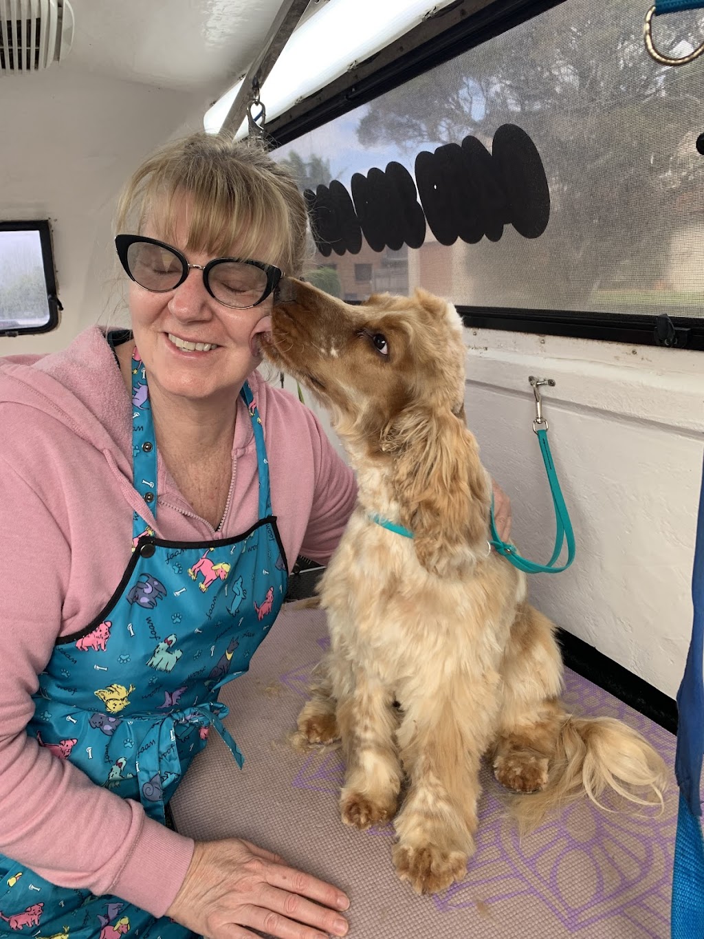 Pinup Pooch Parlour | 8 Ford Ave, Medowie NSW 2318, Australia | Phone: 0408 028 358