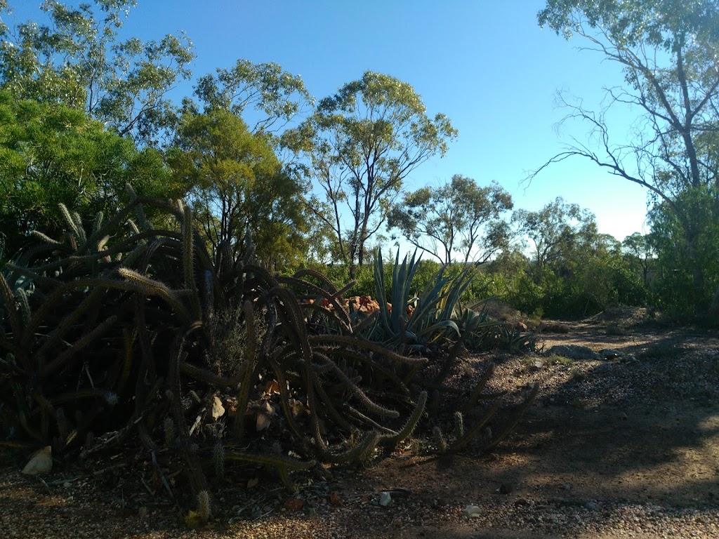 Lightning Ridge Olympic Pool |  | Gem St &, Harlequin St, Lightning Ridge NSW 2834, Australia | 0459951190 OR +61 459 951 190