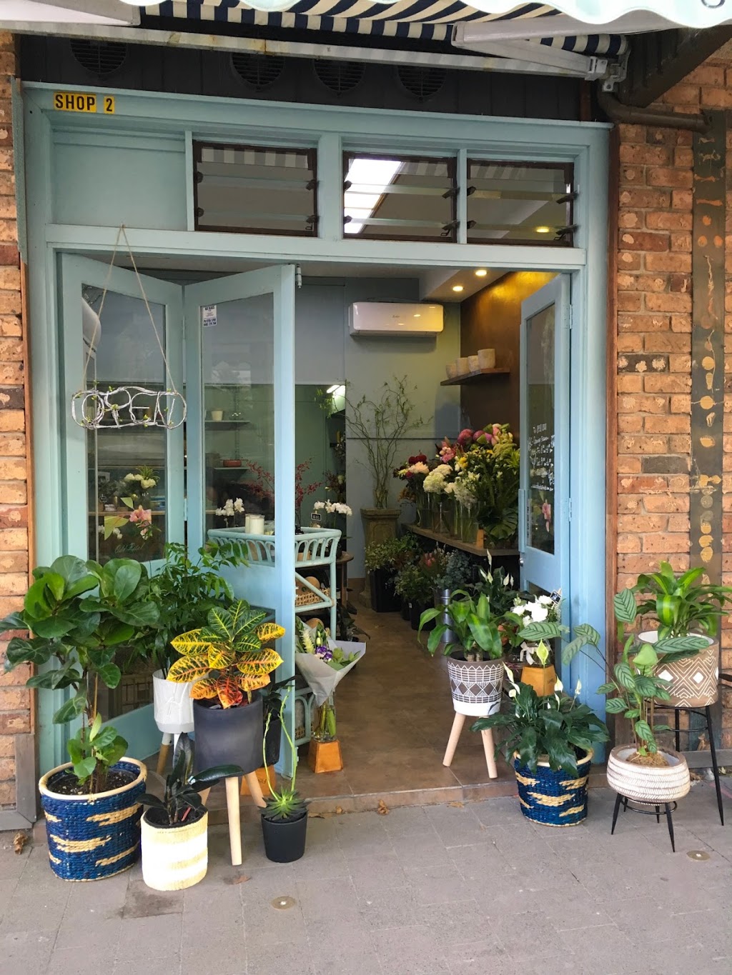 Odd Petal Florist @ Crows Nest (113 Willoughby Rd) Opening Hours