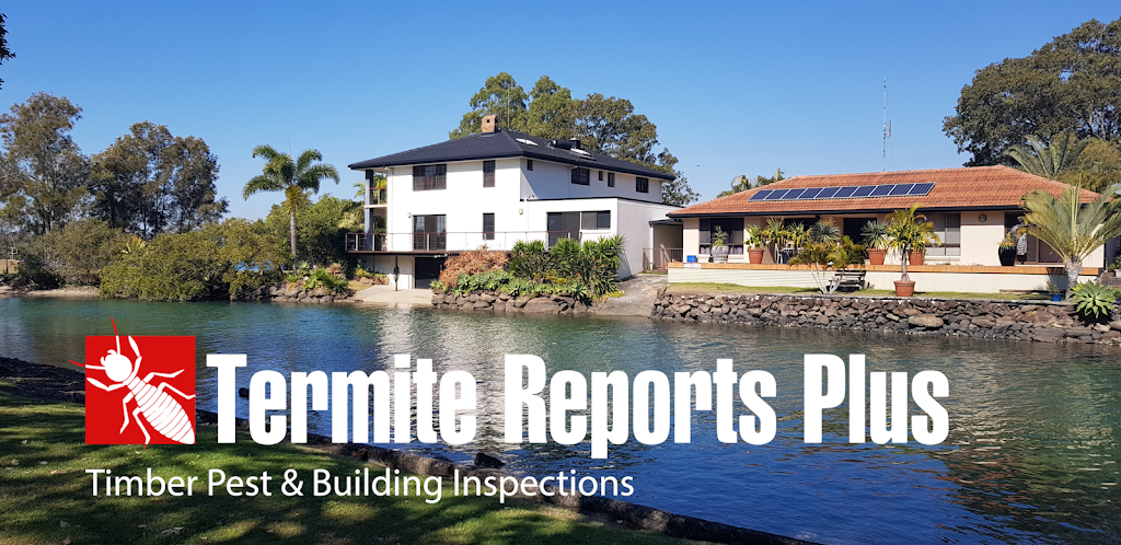 Termite Reports Plus | 95 Pioneer Parade, Banora Point NSW 2486, Australia | Phone: 0403 534 016