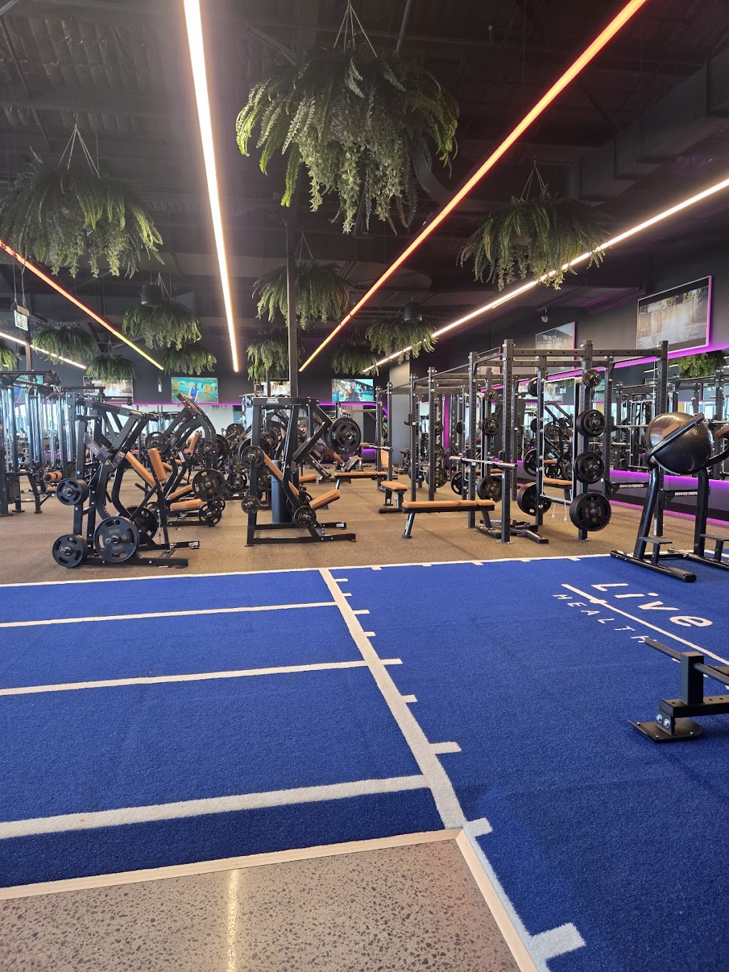 Live Well Health Clubs | 4 Lakefront Cres, Gables NSW 2765, Australia | Phone: 0488 994 455
