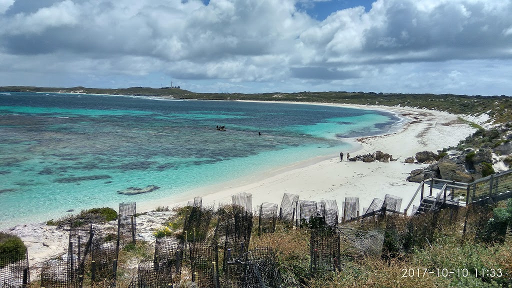 Eastern Osprey Nest | Parker Point Rd, Rottnest Island WA 6161, Australia