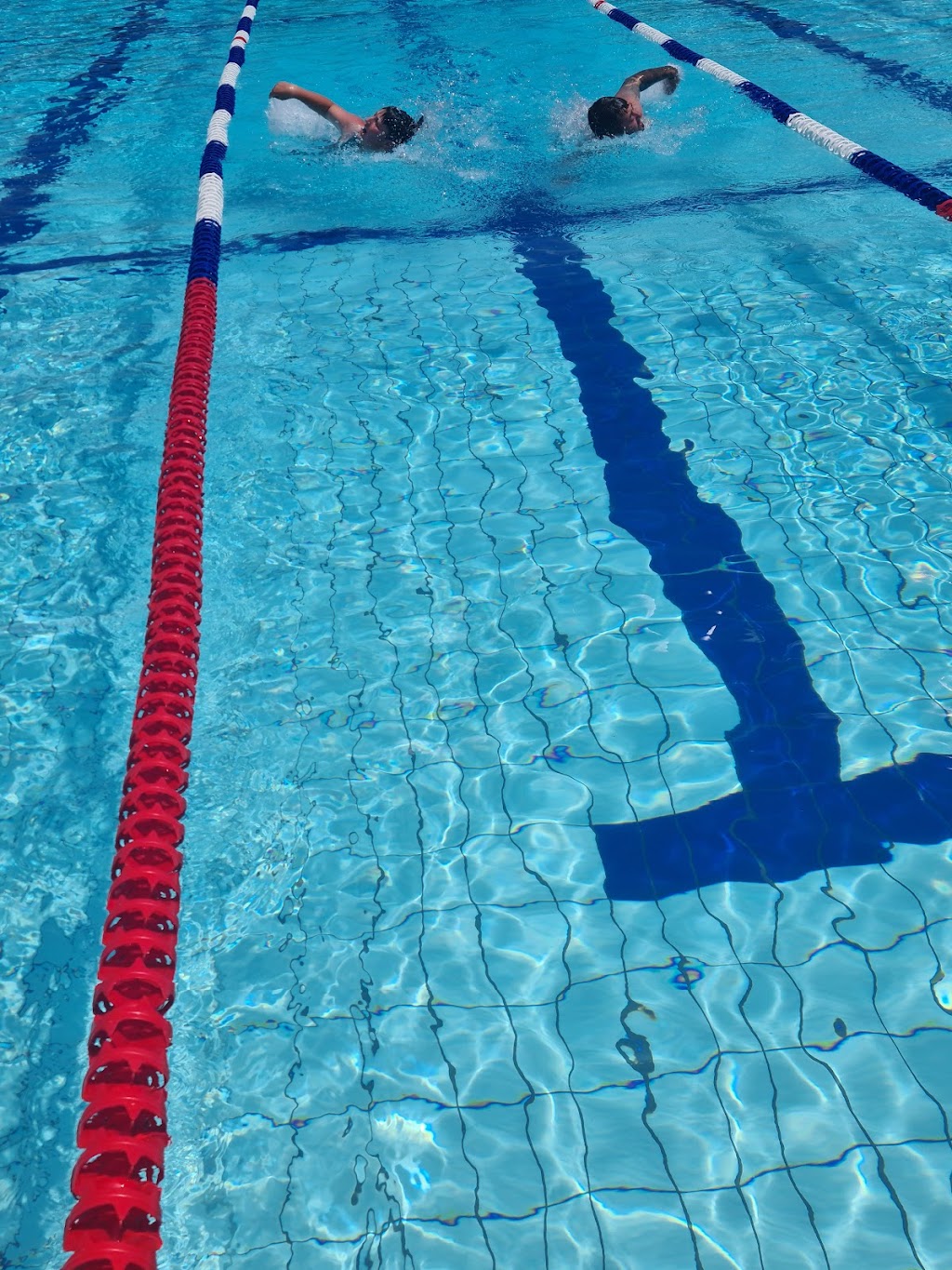 Scottsdale Aquatic Centre | Coplestone St, Scottsdale TAS 7260, Australia | Phone: 0437 067 913