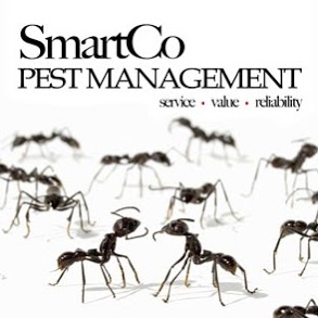SmartCo Pest Management | home goods store | 1066, 171 Morayfield Rd, Morayfield QLD 4506, Australia | 0432327812 OR +61 432 327 812