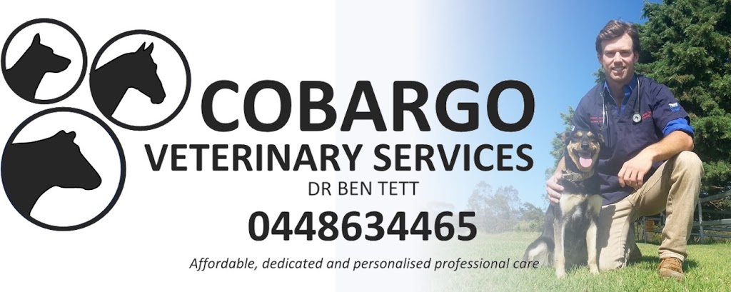 Cobargo Veterinary Services | veterinary care | 300 County Boundary Rd, Cobargo NSW 2550, Australia | 0448634465 OR +61 448 634 465