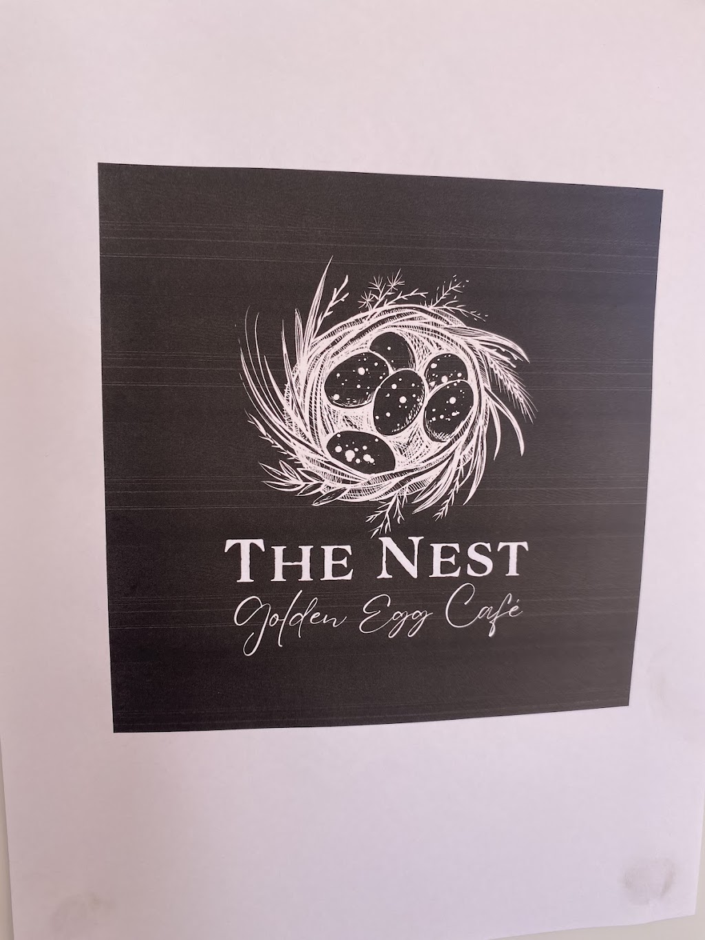 The Nest “Golden Egg Cafe” | Waka Station Claypan, Cameron Corner Rd, Tibooburra NSW 2880, Australia | Phone: 0429 884 544