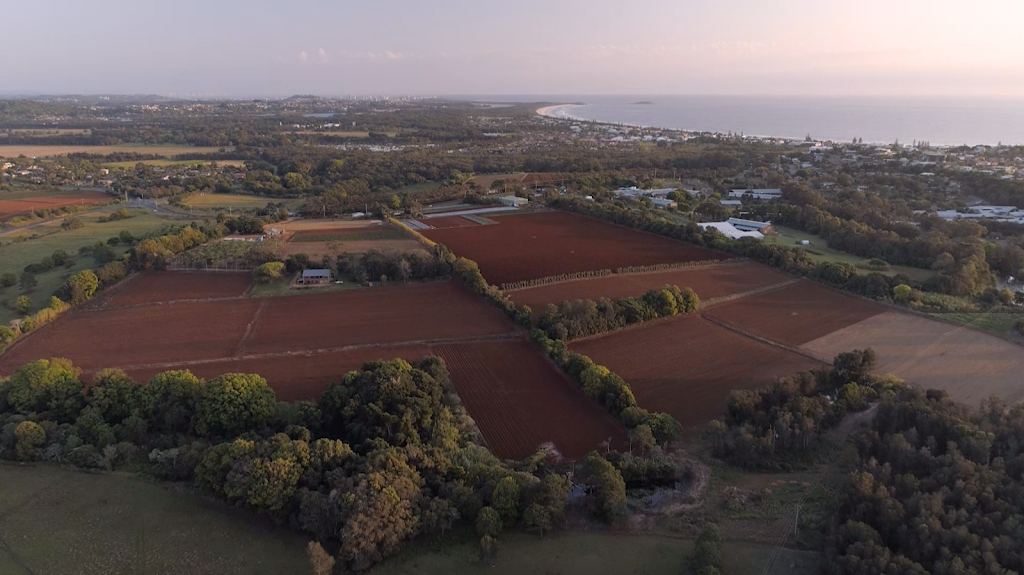 Cudgen Road Farms | 752 Cudgen Rd, Cudgen NSW 2487, Australia | Phone: 0402 334 509