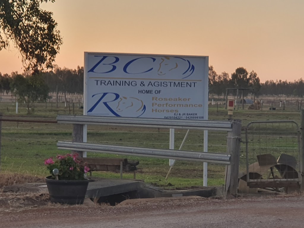 Bc horse training | 34 Partridge Rd, Benger WA 6223, Australia | Phone: 0428 899 308