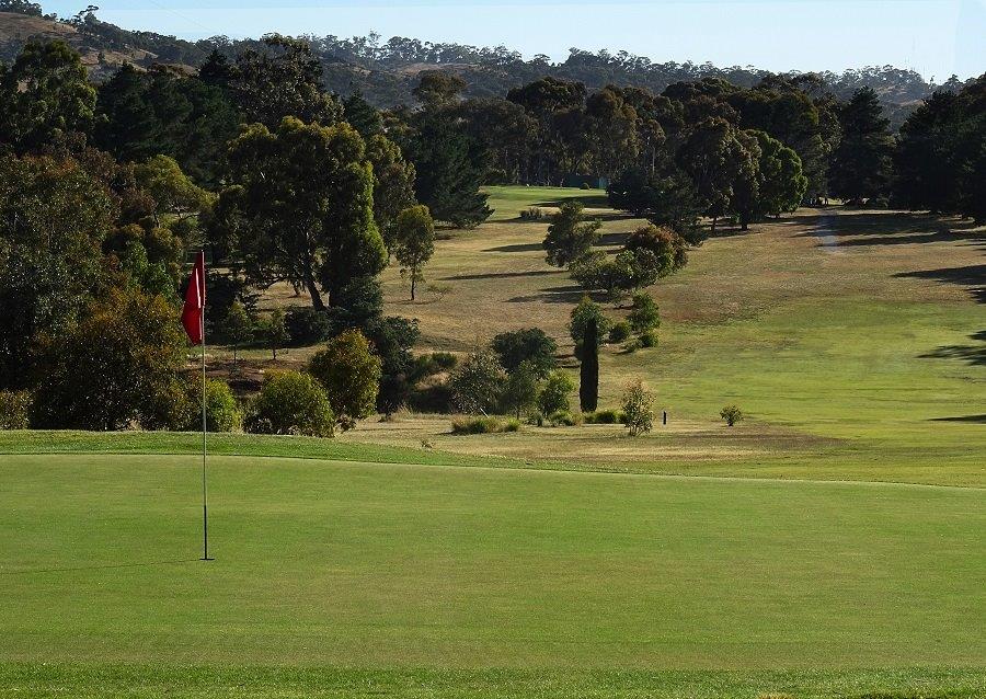 Belvoir Park Golf Club |  | 77 Belvoir Park Rd, Ravenswood VIC 3453, Australia | 0354353370 OR +61 3 5435 3370