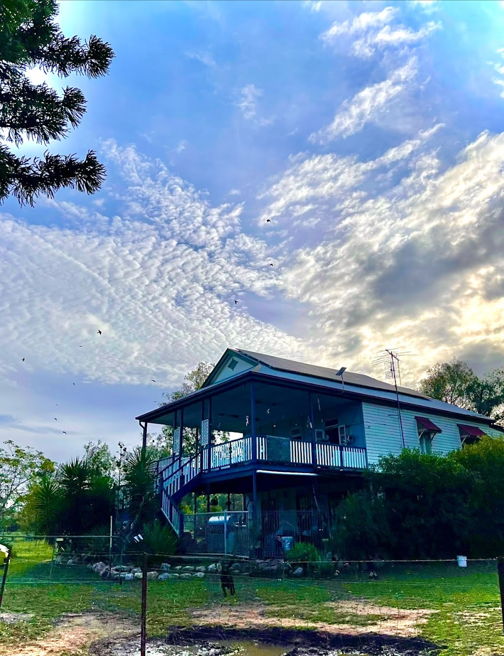 Seehorse Meadows | 39 Jamieson Rd, Churchable QLD 4311, Australia | Phone: 0433 263 783