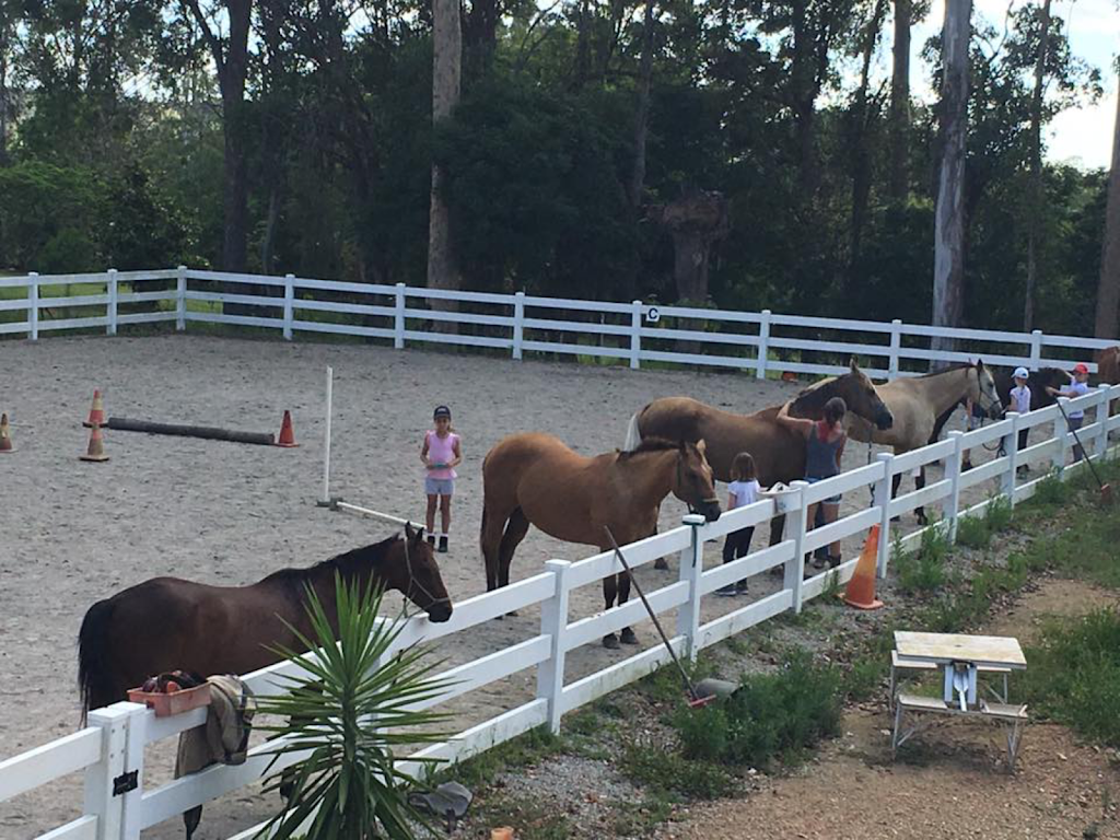 Gale Falcongreen Horsemanship & Equine Assisted Therapy | 926 Bunya Rd, Draper QLD 4520, Australia | Phone: 0411 264 060