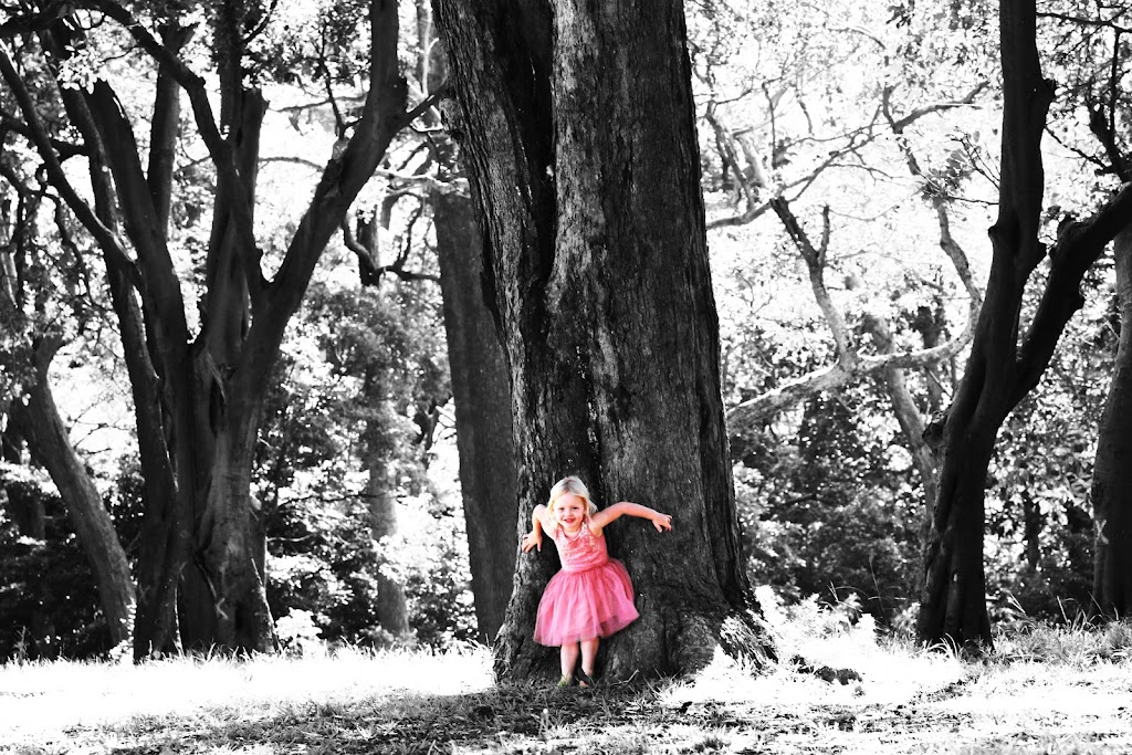 Southern Exposure Photography | 97 Bridges St, Kurnell NSW 2231, Australia | Phone: 0400 832 821