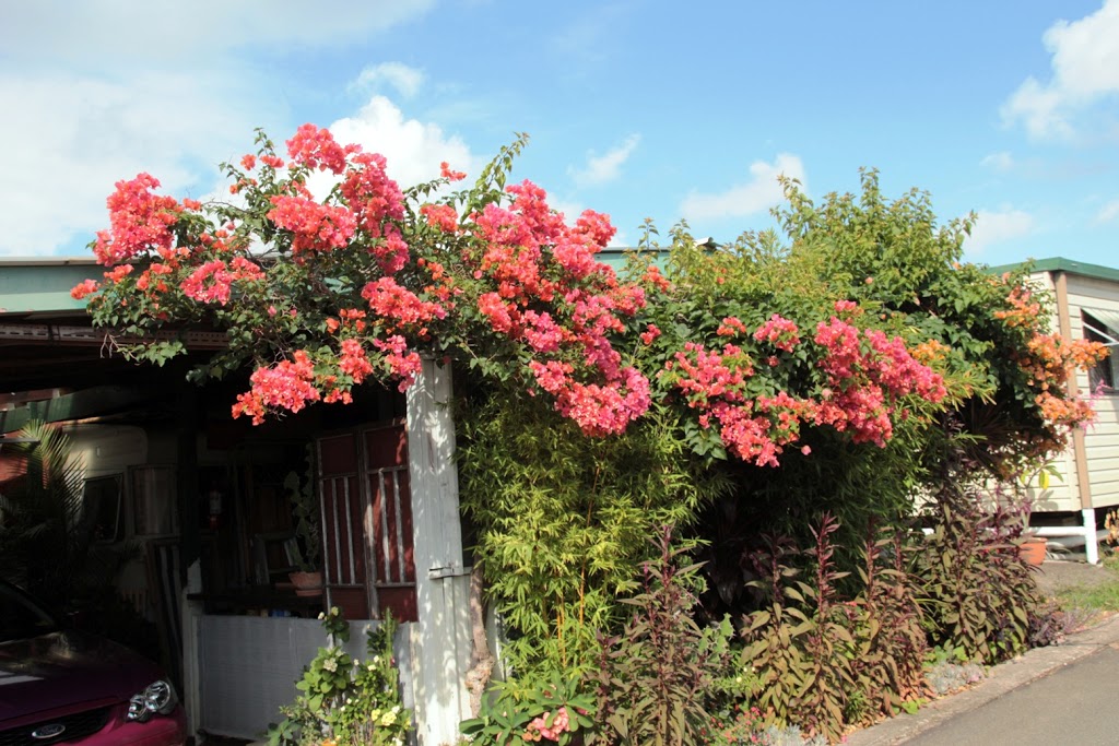 Caboolture River Caravan Park | lodging | 26 Burnett Rd, Caboolture QLD 4510, Australia | 0754951041 OR +61 7 5495 1041