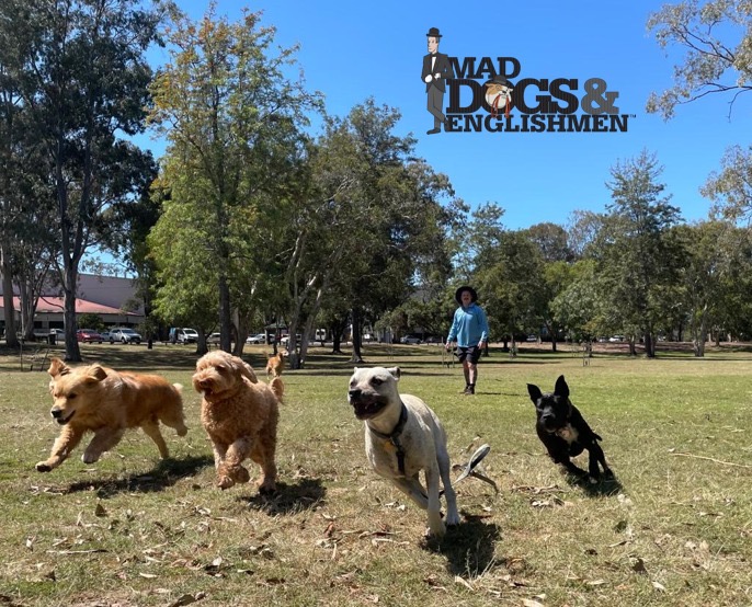 Mad Dogs & Englishmen Sunshine Coast | 203/21 Kombi St, Bokarina QLD 4575, Australia | Phone: 0409 700 613