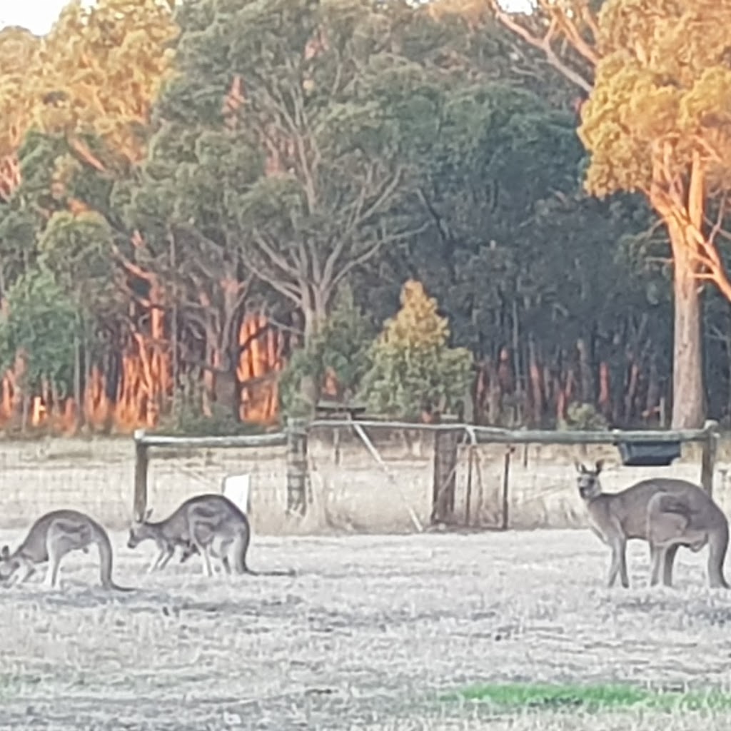 Rosemary Cottage | lodging | 396 Smythesdale-Snake Valley Rd, Hillcrest VIC 3351, Australia | 0413304733 OR +61 413 304 733