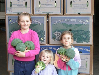 Rosemary Acre Organics | 683 Bestmann Rd, Ningi QLD 4511, Australia | Phone: 0490 514 703