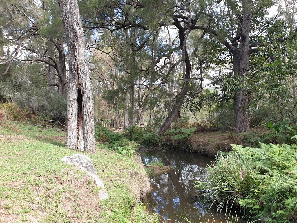 Washpool National Park | Gwydir Highway, Washpool NSW 2371, Australia | Phone: (02) 6739 0700