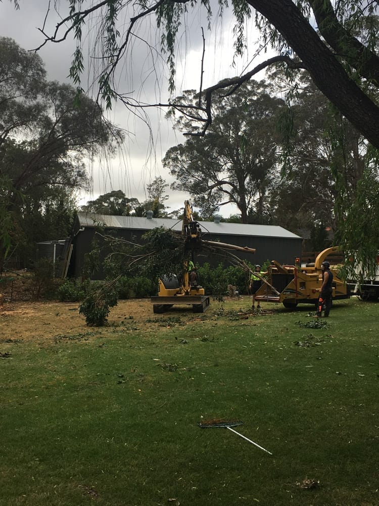 Tip Top Tree Services |  | 7/17 Cemetery Rd, Helensburgh NSW 2508, Australia | 0431184095 OR +61 431 184 095