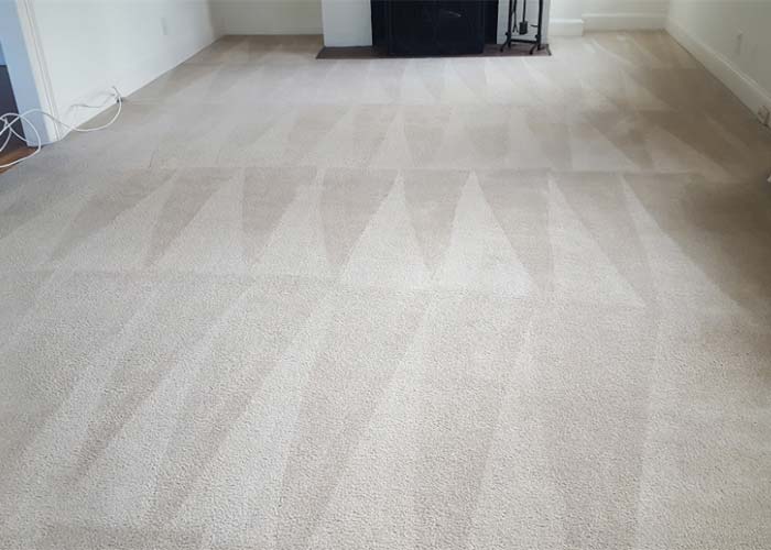 ? RST CARPET CLEANING NEWHAM | laundry | Rochford Rd, Newham VIC 3442, Australia | 0386581366 OR +61 3 8658 1366