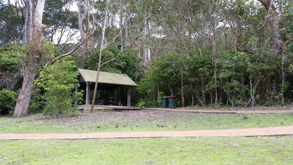 Pebbly Beach Campground | Pebbly Beach Access Rd, East Lynne NSW 2536, Australia | Phone: (02) 4478 6582