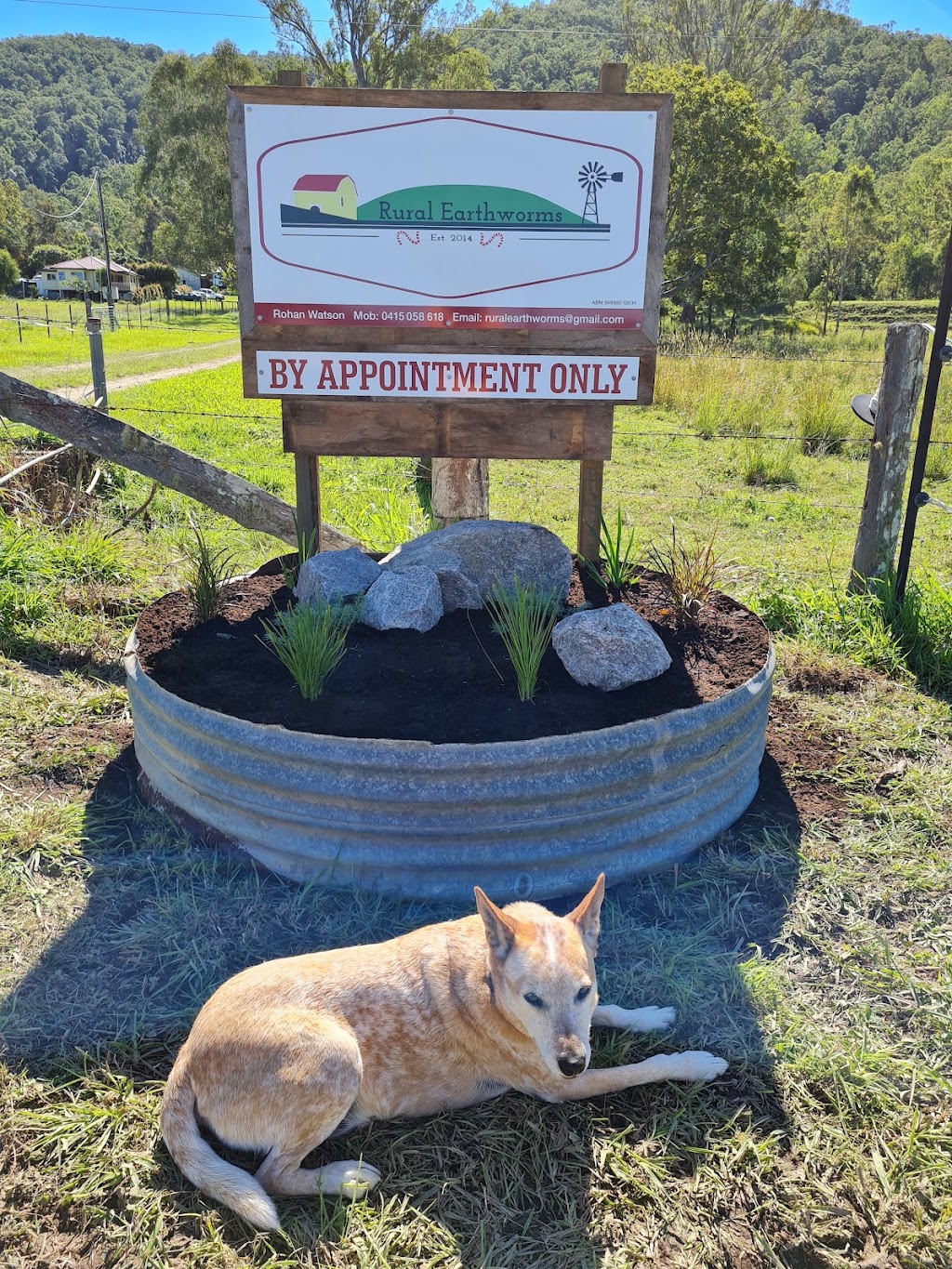 Rural Earthworms | 446 Stony Creek Rd, Stony Creek QLD 4514, Australia | Phone: 0415 058 618