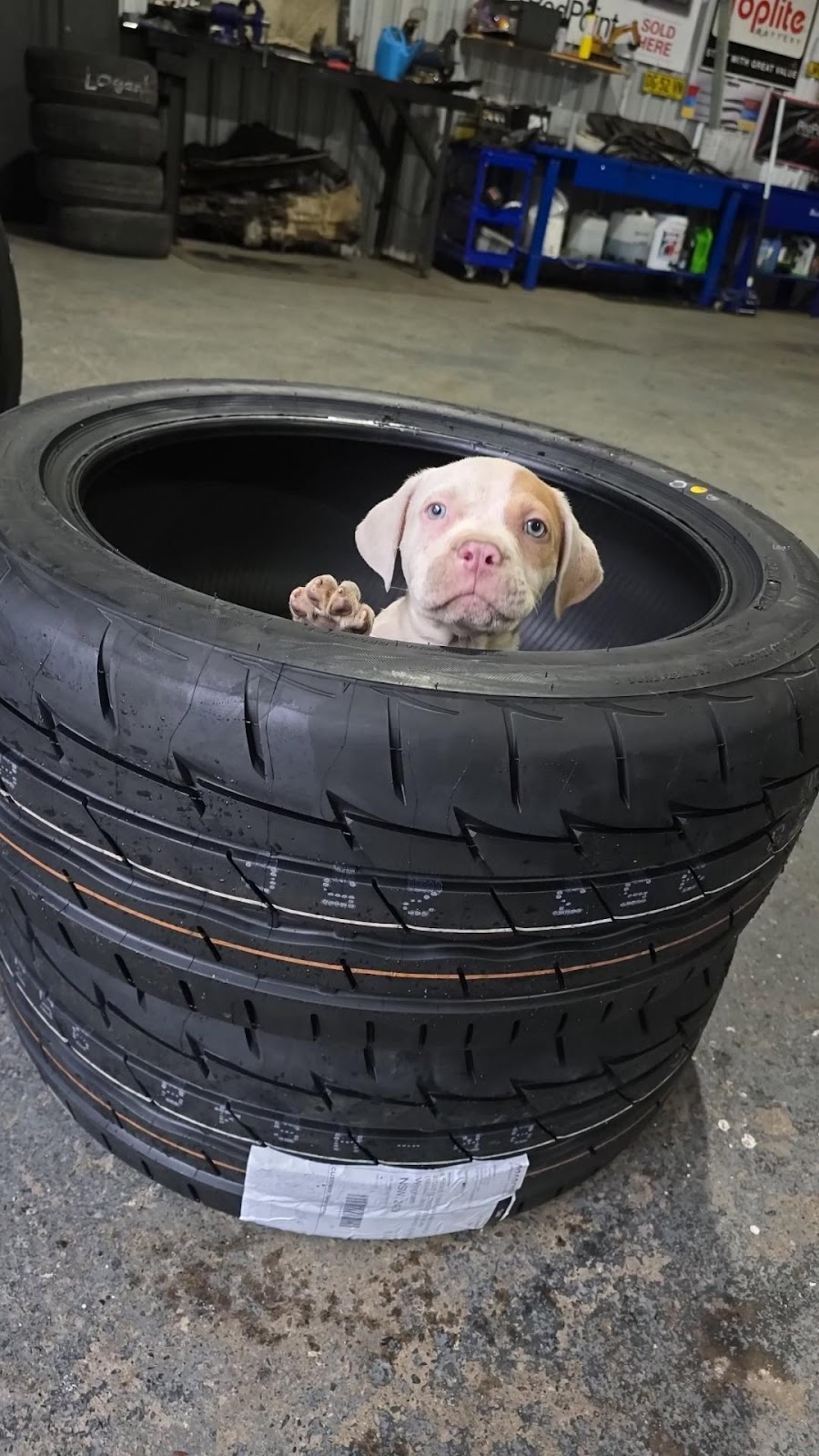 Leighs Tyres and Mechanical | 1325 Gloucester Rd, Wingham NSW 2429, Australia | Phone: (02) 6551 0265