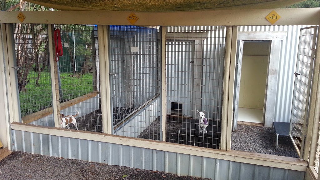 Shiralea Pet Resort and Miniature Pinschers | 109 Kingsley Rd, Allendale East SA 5291, Australia | Phone: 0417 387 287