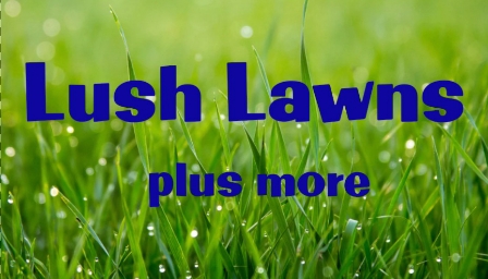Lush Lawns Plus More | general contractor | 15 McKillop Way, Fraser Rise VIC 3336, Australia | 0477026009 OR +61 477 026 009