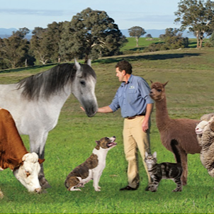 Yass Veterinary Hospital | 72-76 Laidlaw St, Yass NSW 2582, Australia | Phone: (02) 6226 4444