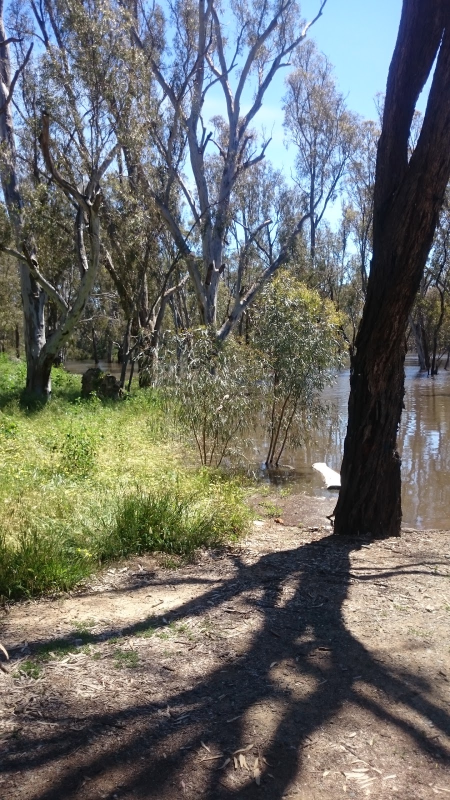 Echuca Moama Tourism | 2 Heygarth St, Echuca VIC 3564, Australia | Phone: (03) 5480 7555