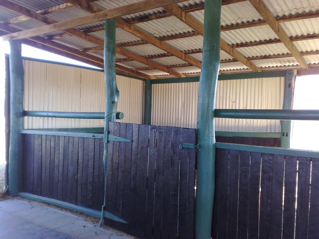 Freestone Equine Vet Farm | veterinary care | 37 Watts Rd, Freestone QLD 4370, Australia | 0422474324 OR +61 422 474 324