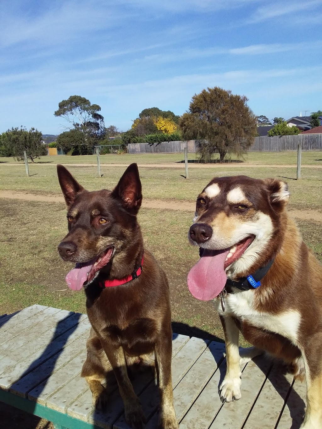 Sherlock Family Playground | 137 Dunns Rd, Mount Martha VIC 3934, Australia