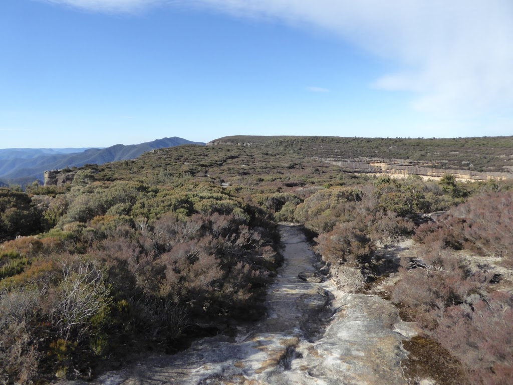 Kanangra-Boyd Plateau Cliff | park | Kanangra NSW 2787, Australia