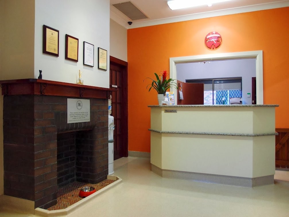 ActiVet Clinic Carlingford | 274 Pennant Hills Rd, Carlingford NSW 2118, Australia | Phone: (02) 9871 6838