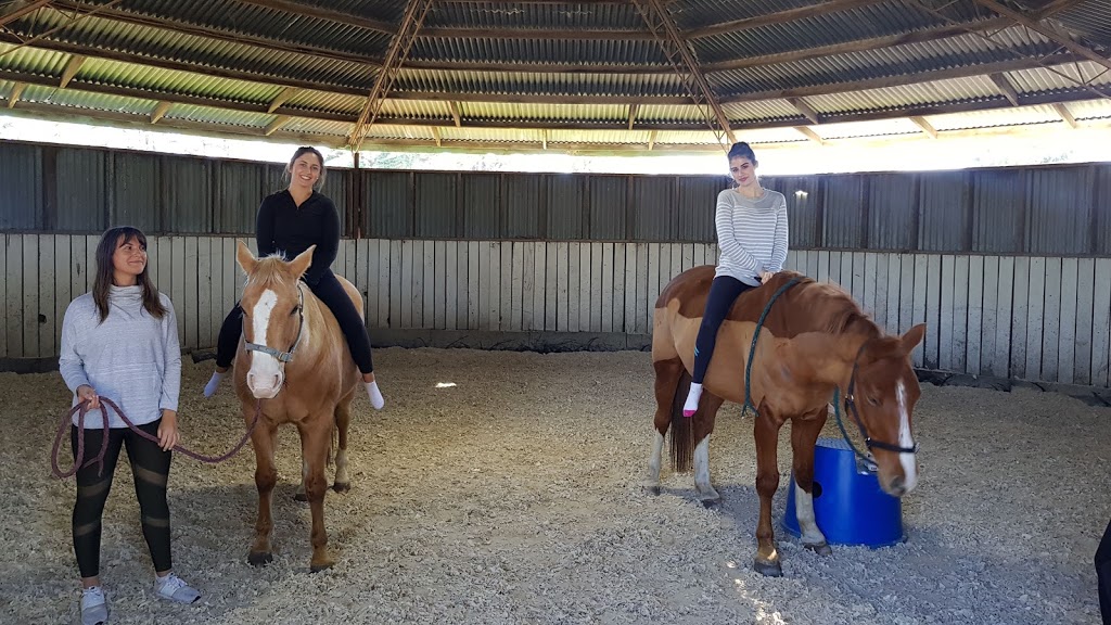 Highfield Equestrian Centre 520b Mickleham Rd, Attwood VIC 3049