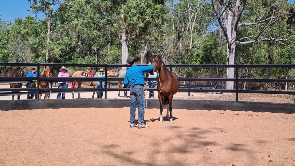 Reata Ranch Horsemanship | 414 Wisemans Arm Rd, Garthowen NSW 2345, Australia | Phone: 0407 731 167