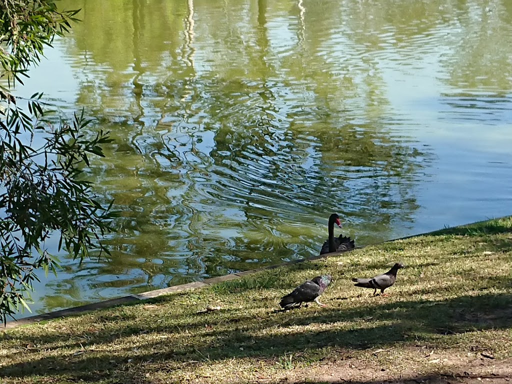 The Lake Parklands | Forest Lake Blvd, Forest Lake QLD 4078, Australia | Phone: (07) 3223 2665