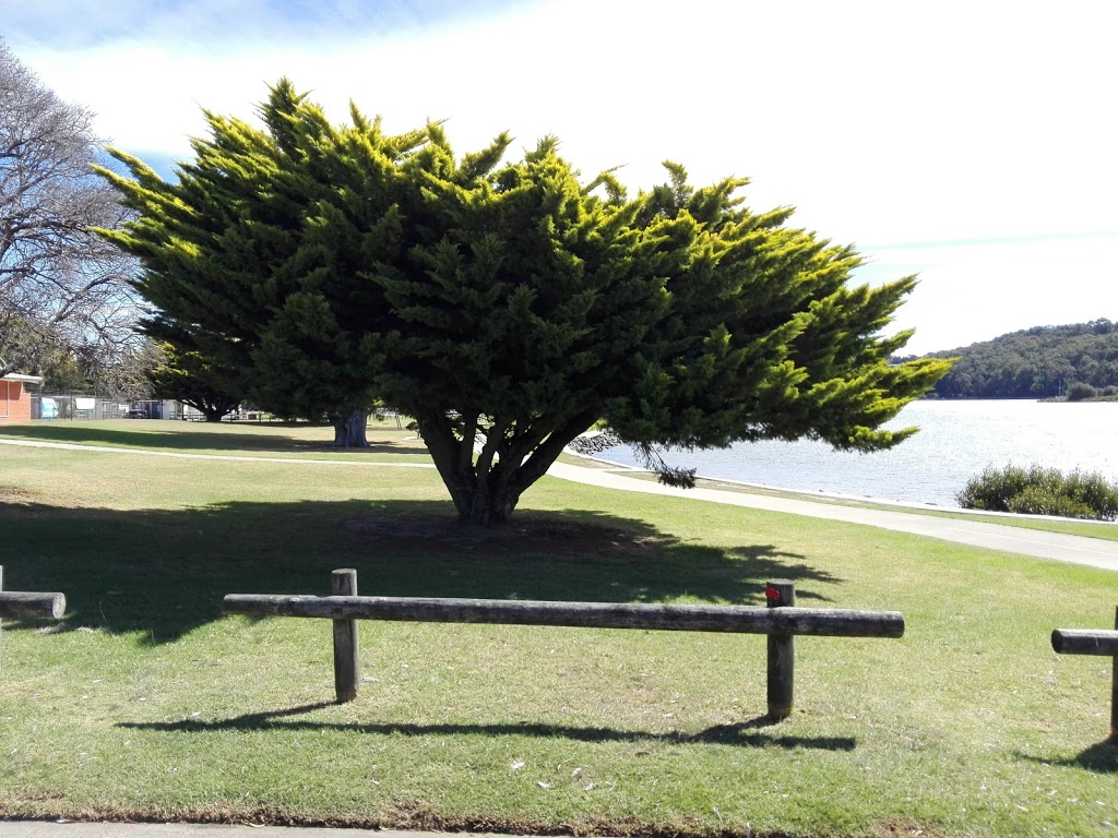 Edwin Street Park | park | Narooma NSW 2546, Australia | 0244741000 OR +61 2 4474 1000