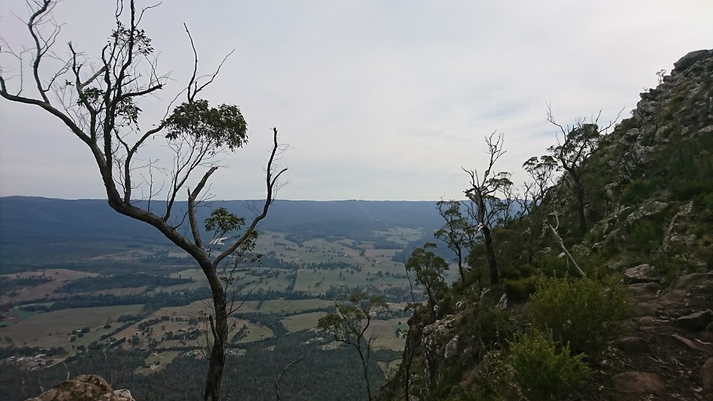 Neds Saddle | Neds Gully Track, Taggerty VIC 3714, Australia | Phone: 13 19 63