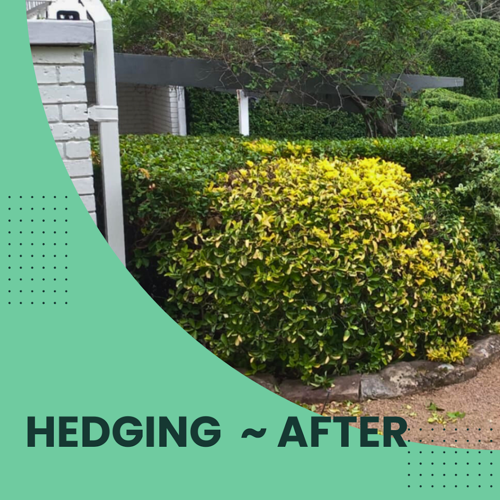 Red Cedar Garden & Property Care | Strongs Rd, Jaspers Brush NSW 2535, Australia | Phone: 0433 188 182