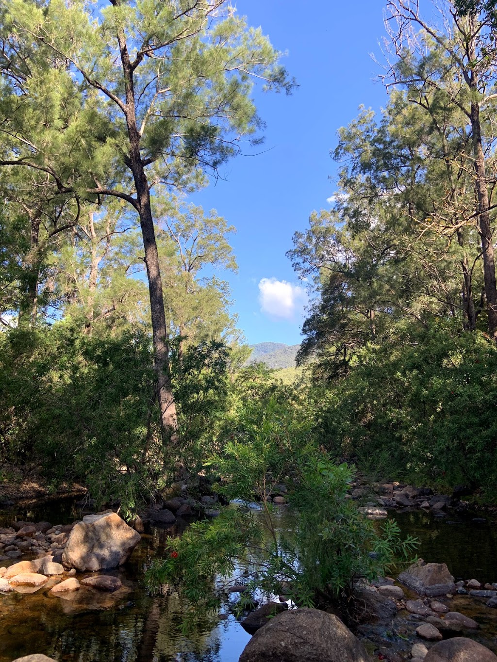 Alligator Creek Campground - Queensland national park | Unnamed Road, Mount Elliot QLD 4816, Australia
