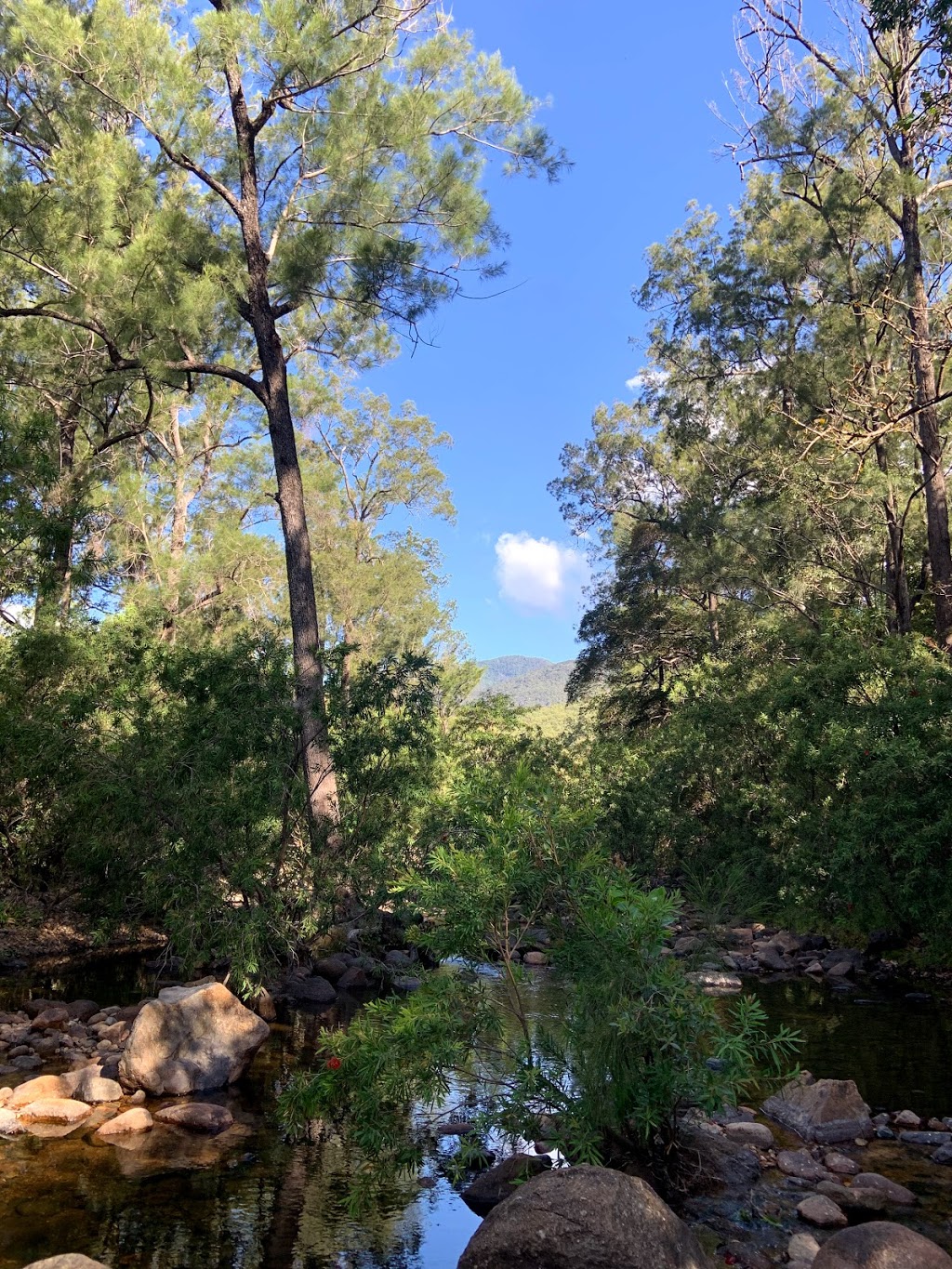 Alligator Creek Campground - Queensland national park | campground | Unnamed Road, Mount Elliot QLD 4816, Australia