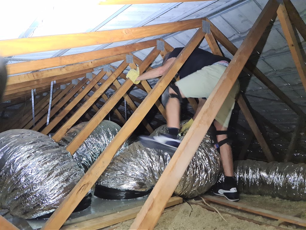NSW Master Building Inspectors | Level 23/520 Oxford St, Bondi Junction NSW 2022, Australia | Phone: (02) 9369 2787