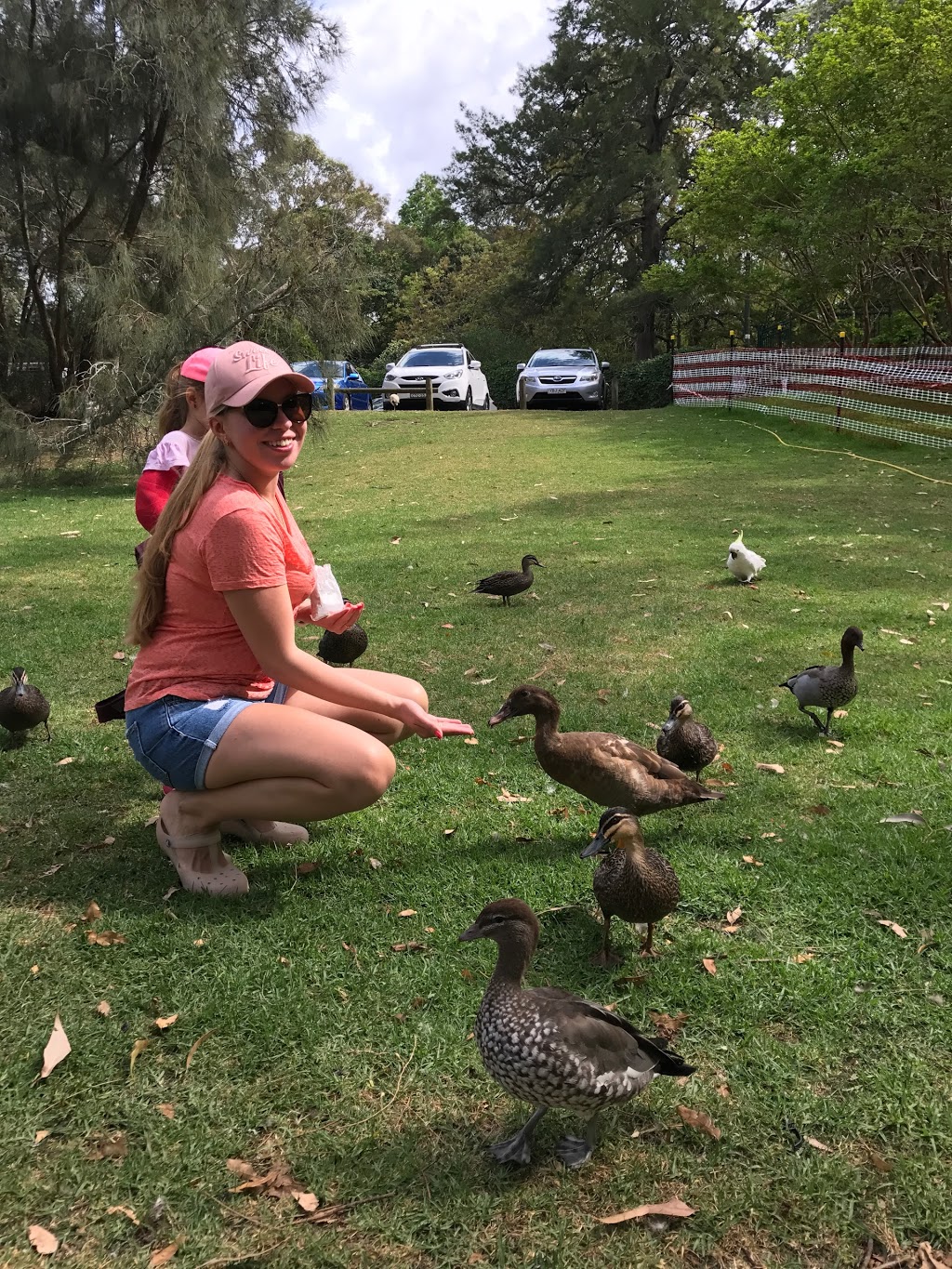 Area B1 - Duck Pond Area | Kareena Rd Lower Car Park, Caringbah South NSW 2229, Australia