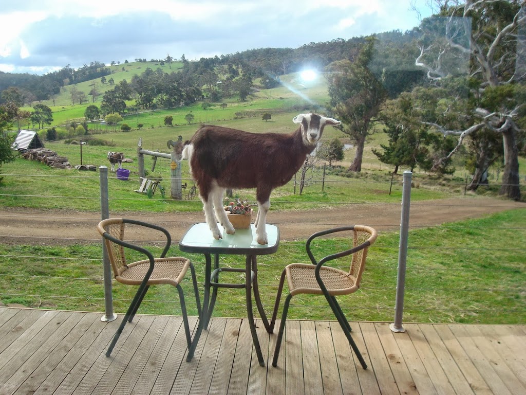 Heimat Farmstay | Heimat/430 Black Hills Rd, Black Hills TAS 7140, Australia | Phone: (03) 6209 3735