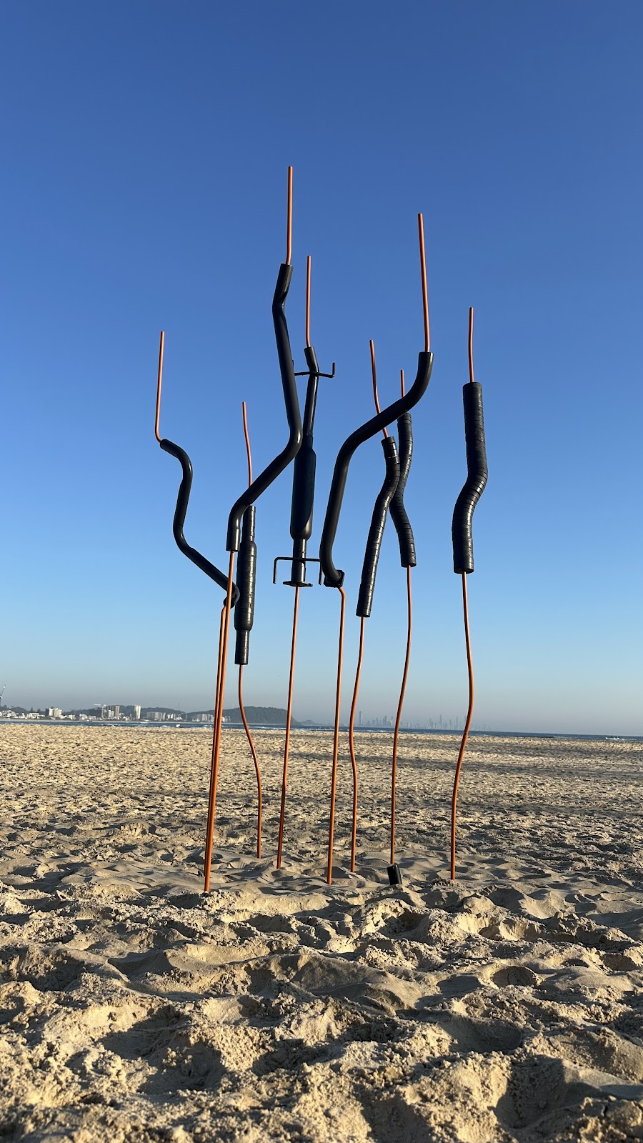 SWELL Sculpture Festival | Pacific Parade, Currumbin QLD 4223, Australia | Phone: 0493 792 965