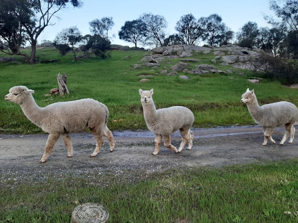 Pleasant Sense Farm | 736 Angas Valley Rd, Mount Pleasant SA 5235, Australia | Phone: 0448 557 329